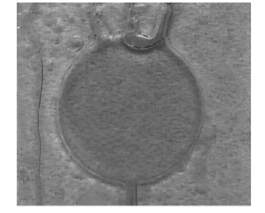 微流控光開關在實際應用中的效果，包括不同流速下的遮光形態(tài)及透光/遮光對比  - 廣西科毅光通信